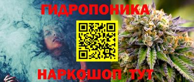 шишки Комсомольск-на-Амуре