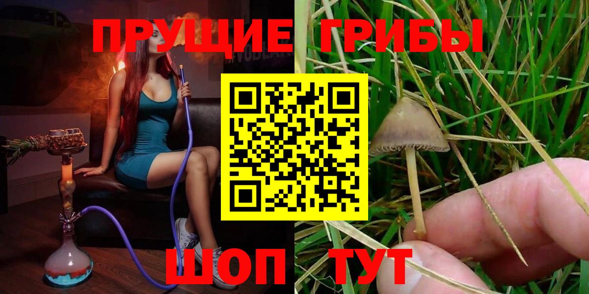 Псилоцибиновые грибы Cubensis  Вход с VPN  Кувандык 