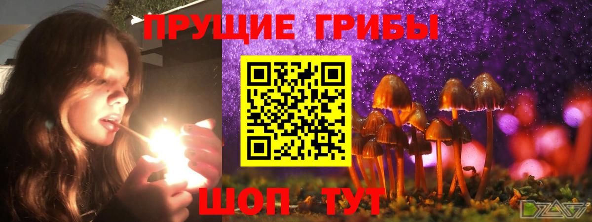 Псилоцибиновые грибы MAGIC MUSHROOMS Кувандык
